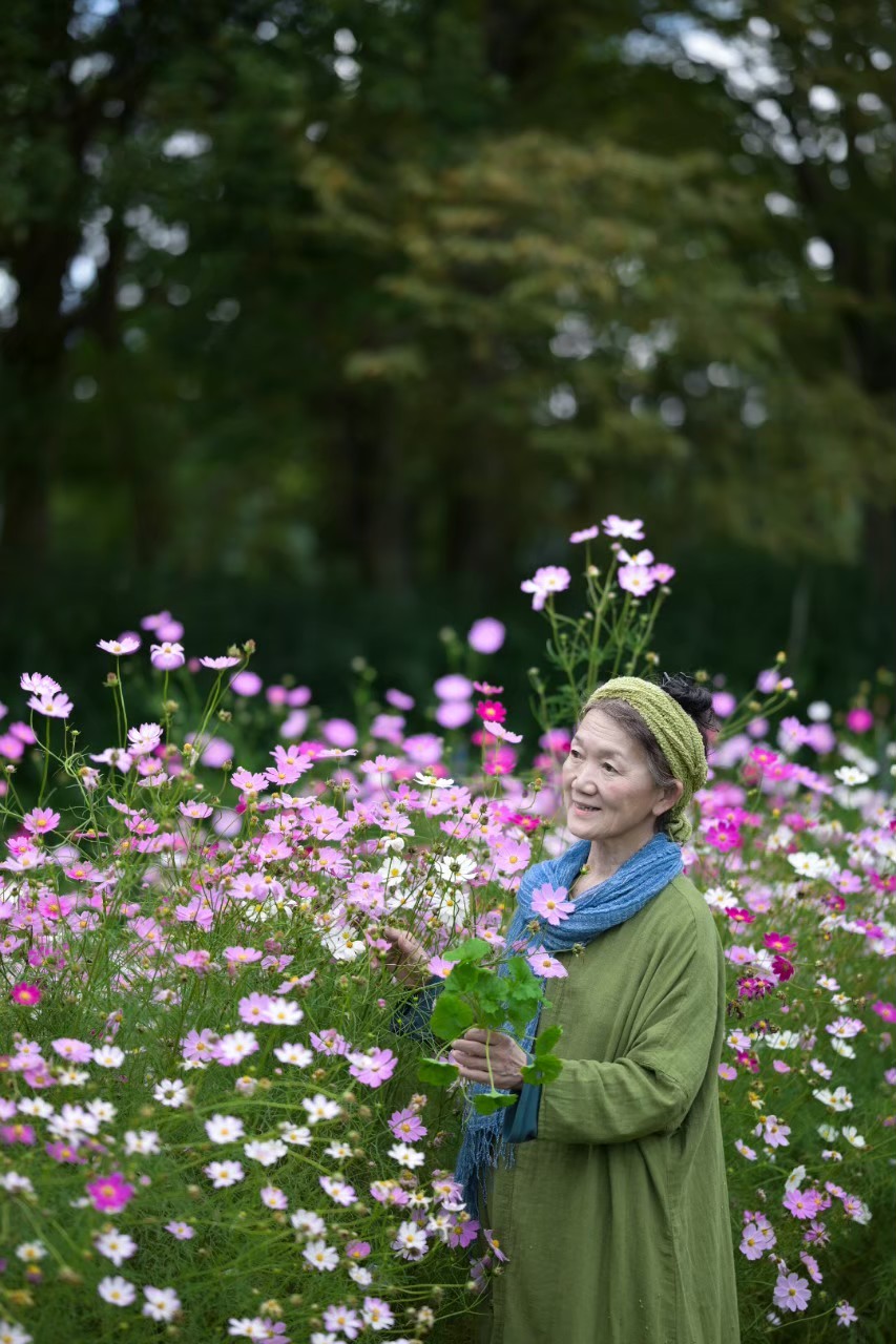 『音の風と薬草』の画像３