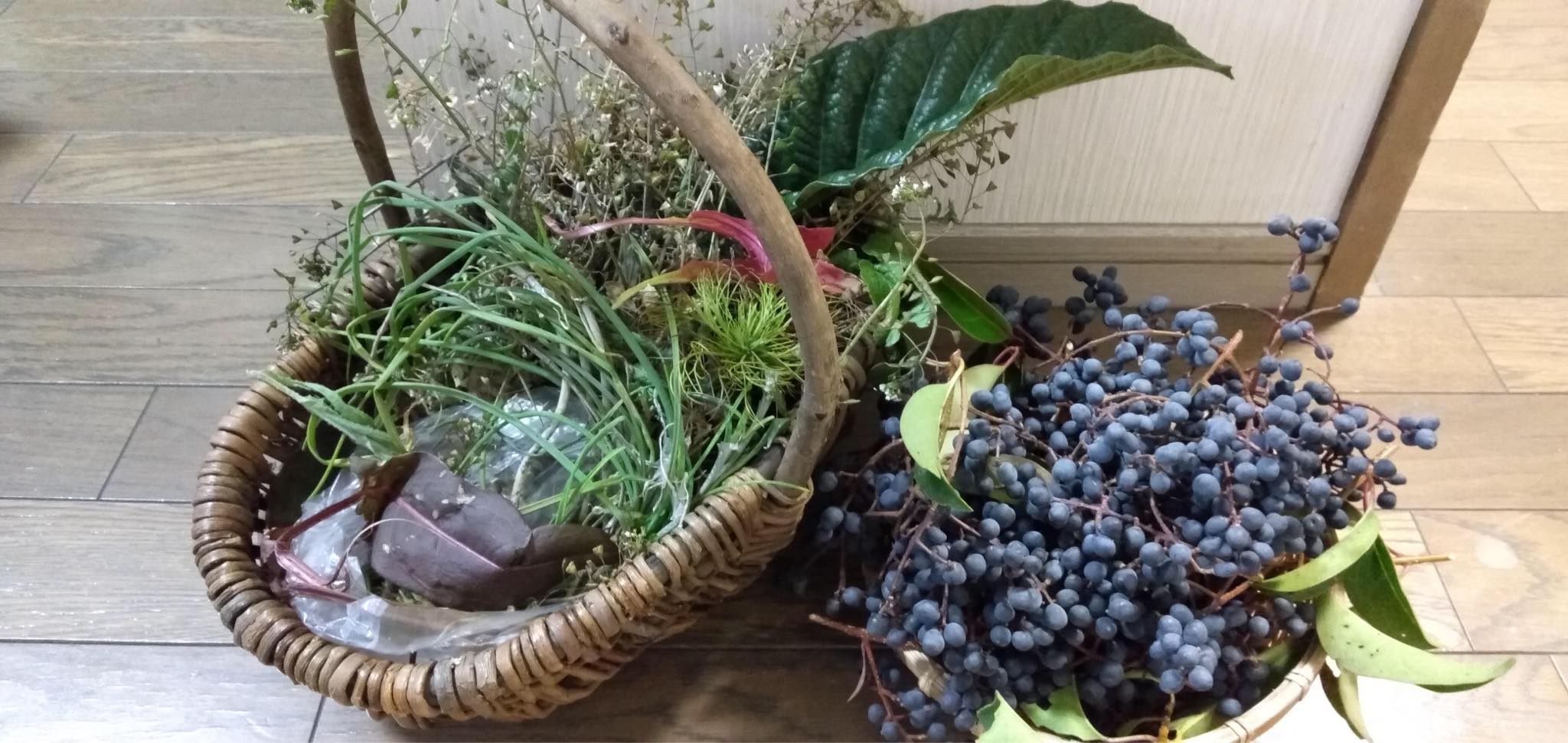 講座「宇陀の歴史と薬草」＆<br/>森野旧薬園「薬草観察会」の画像１