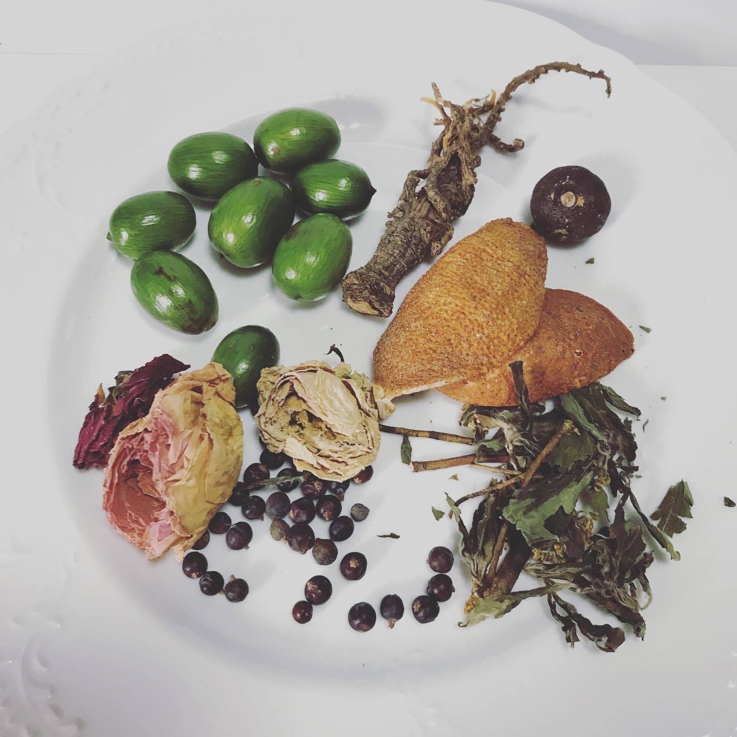 講座「薬草の基礎知識について」＆<br/>森野旧薬園「薬草観察会」の画像２