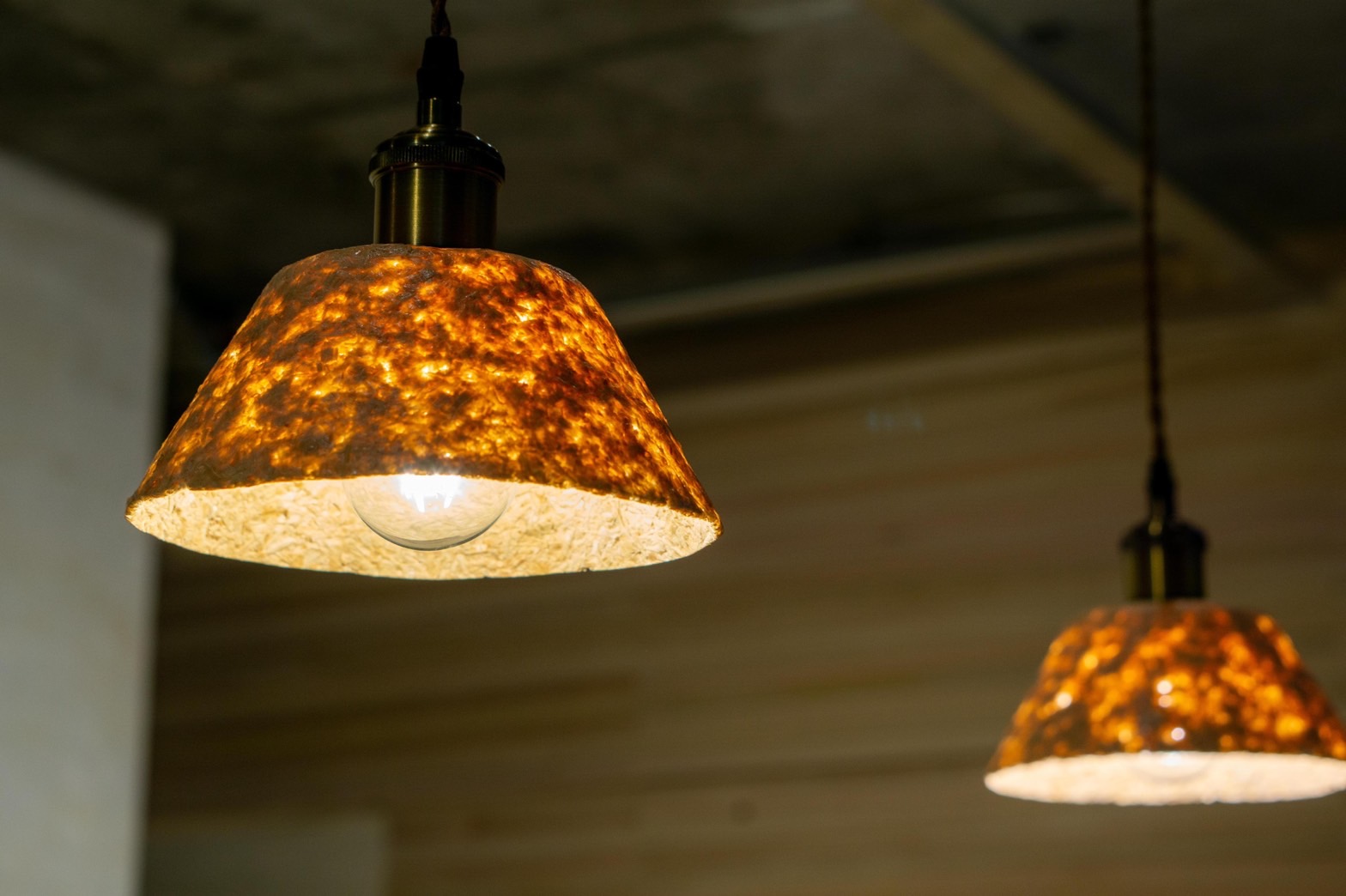 キクズノヒトの画像