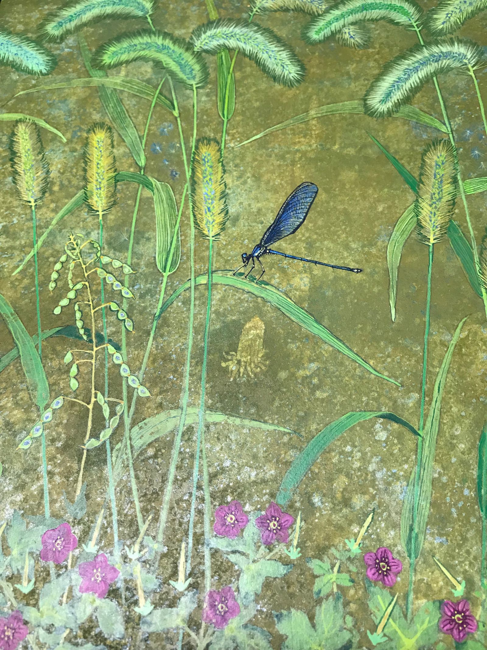 水彩植物画の画像