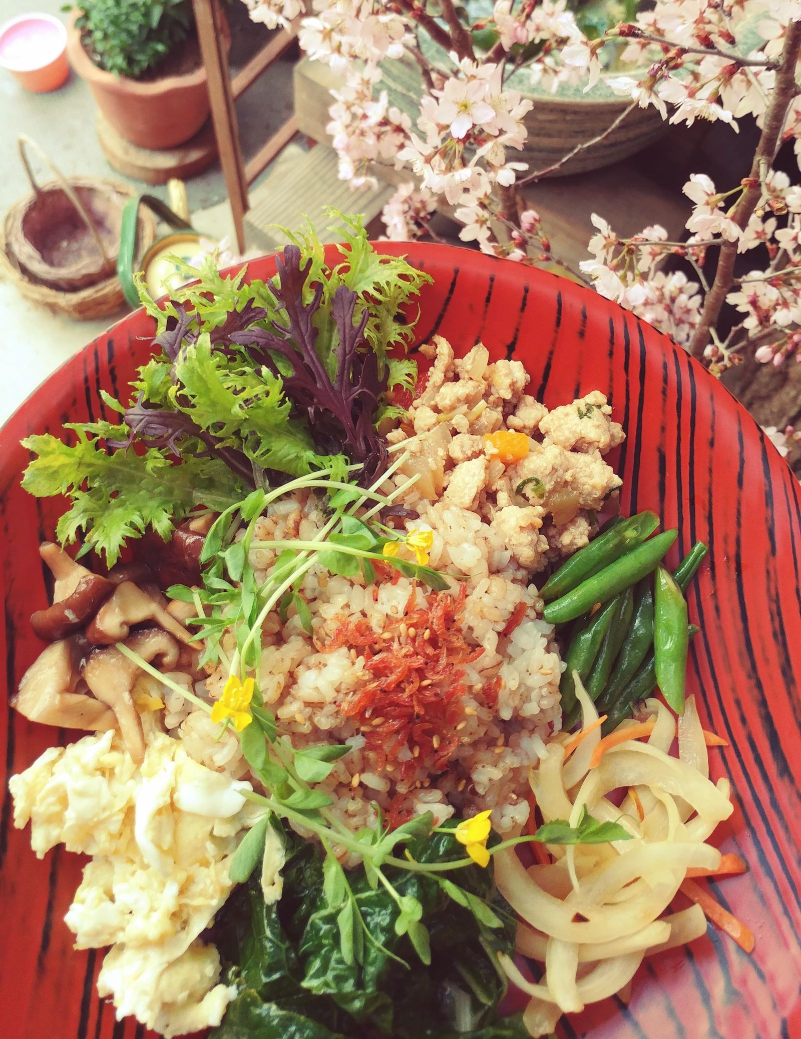 星降る谷の家fufufuの画像