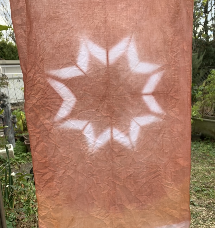 木村 美香の画像１