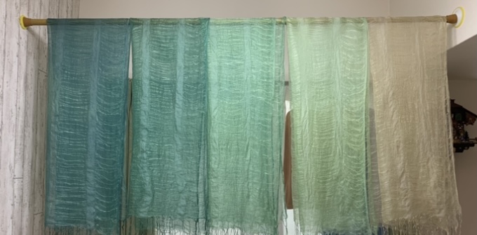 木村 美香の画像２