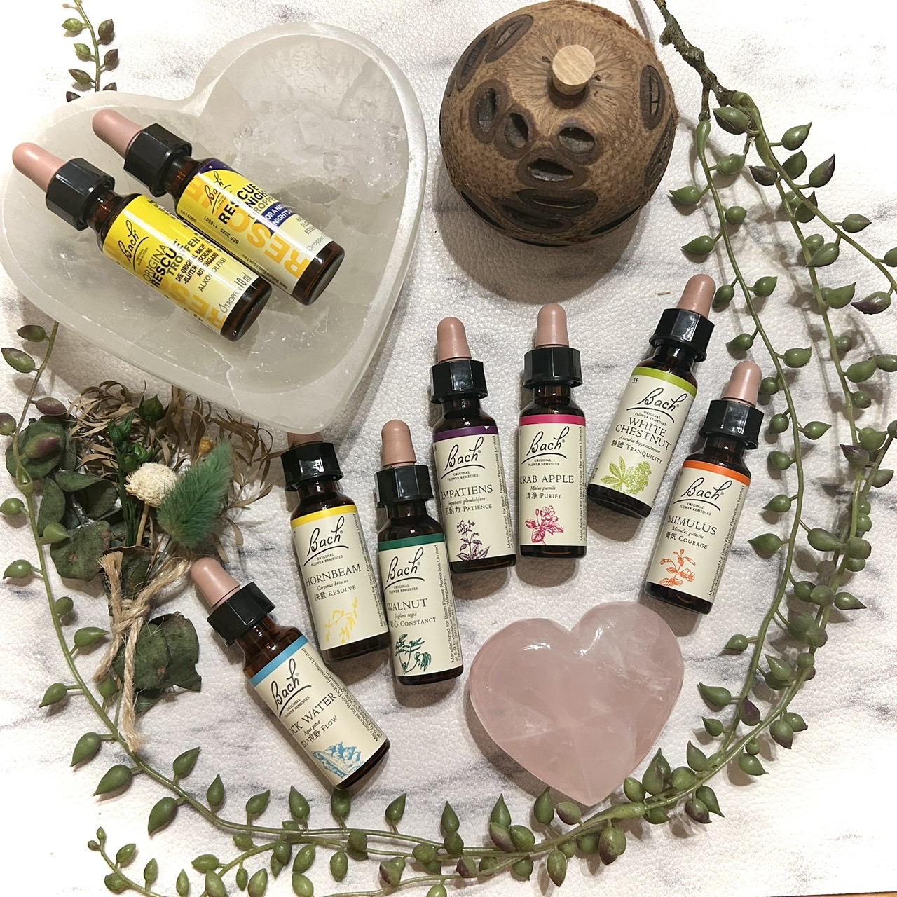 竹田 房恵の画像３