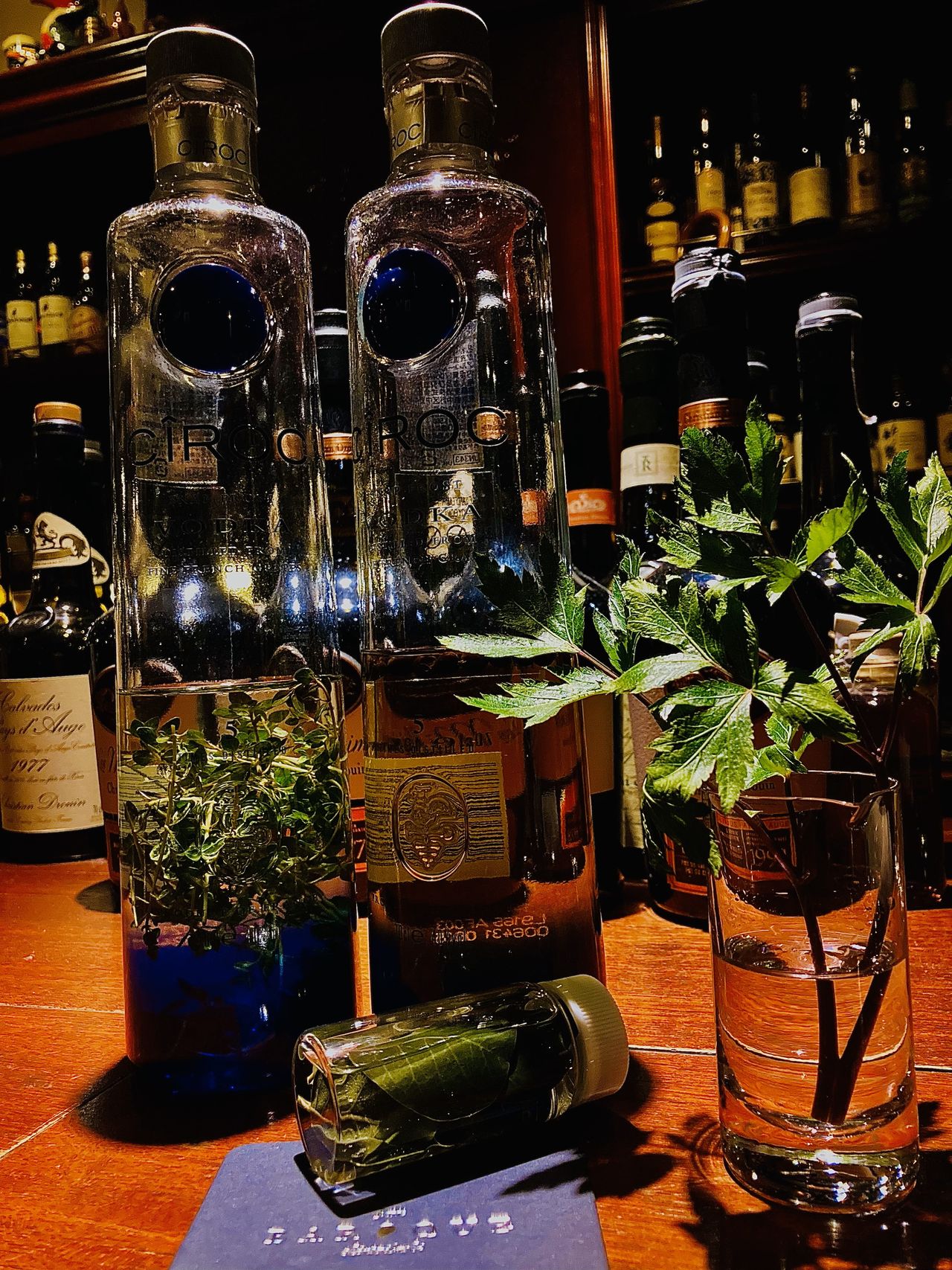 大塚 美穂の画像２