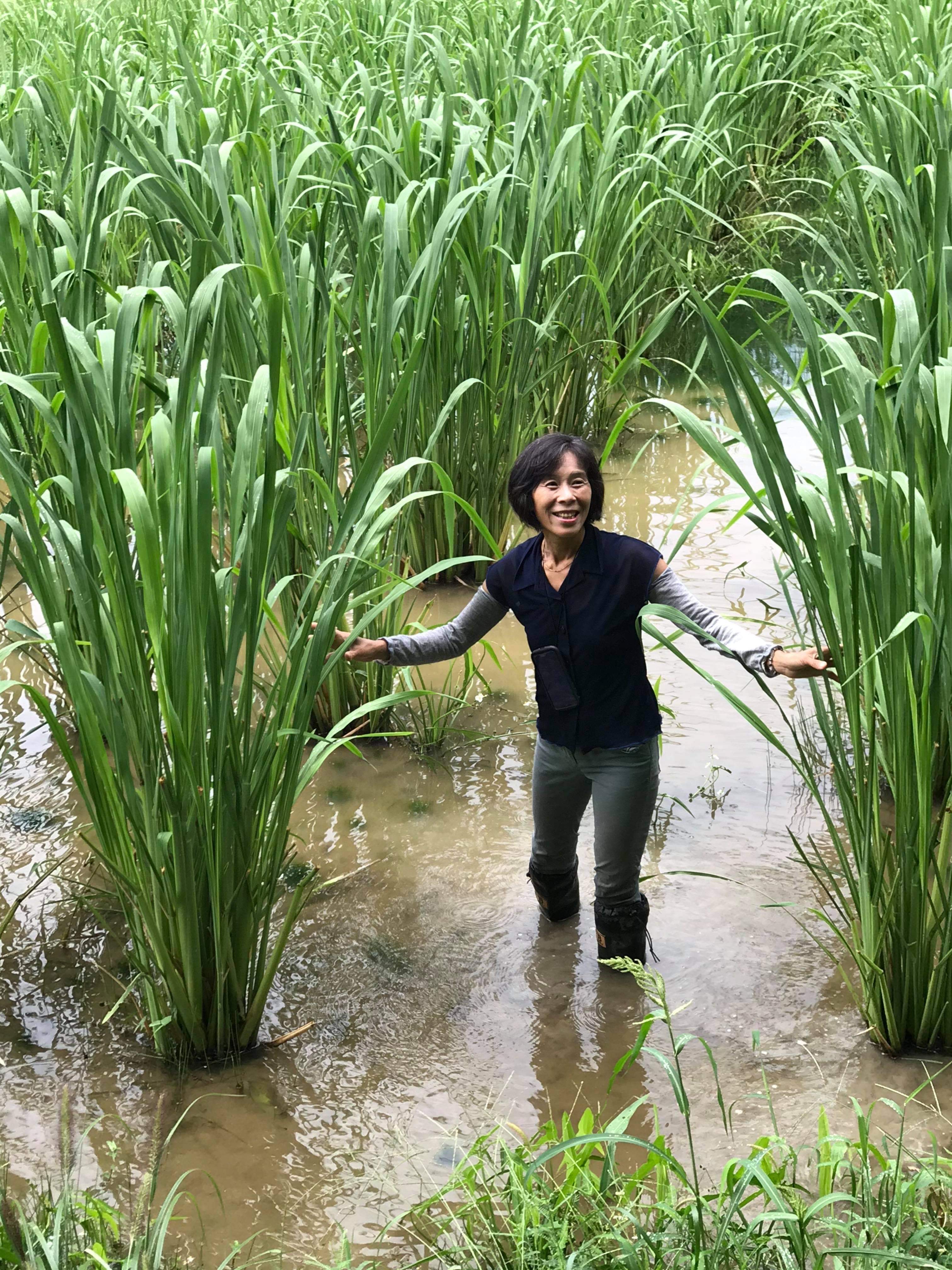 矢部 美紗の画像１