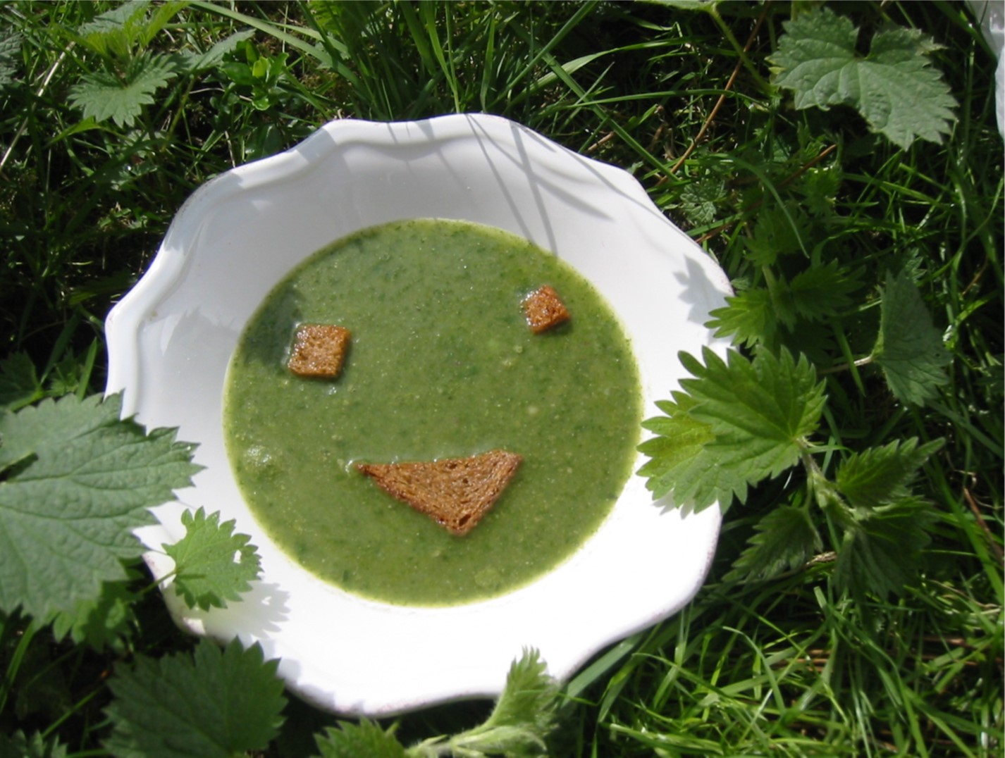 宮本 恭子の画像１