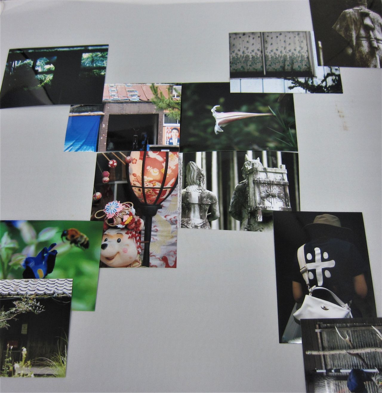 吉田屋（いろとひかり）の画像２