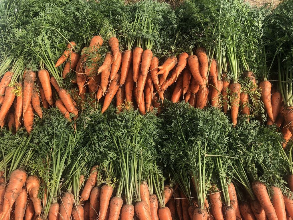 はじまり屋の画像１