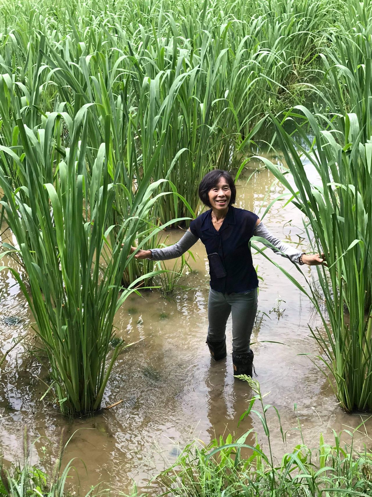 Heart O-liveの画像