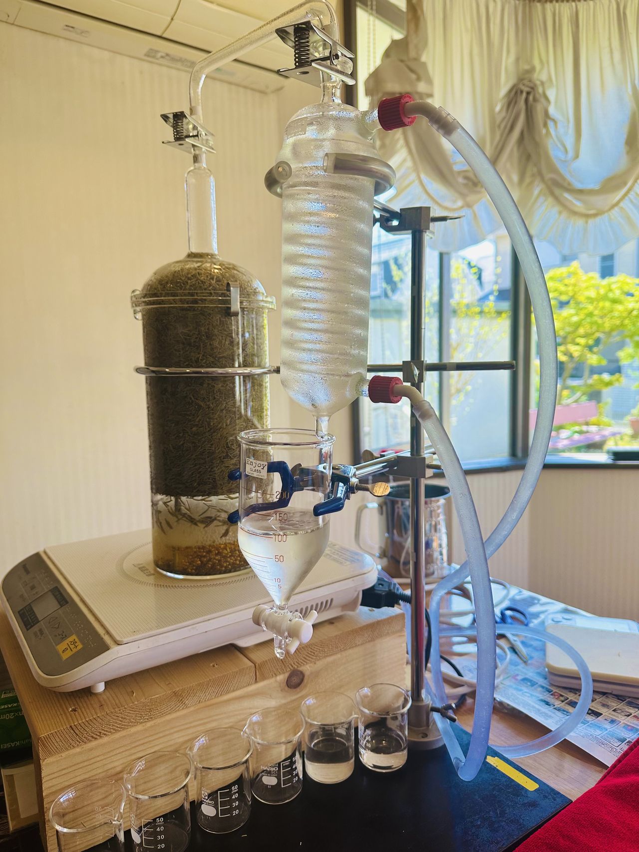 大塚 美穂　秋山 花緒里の画像