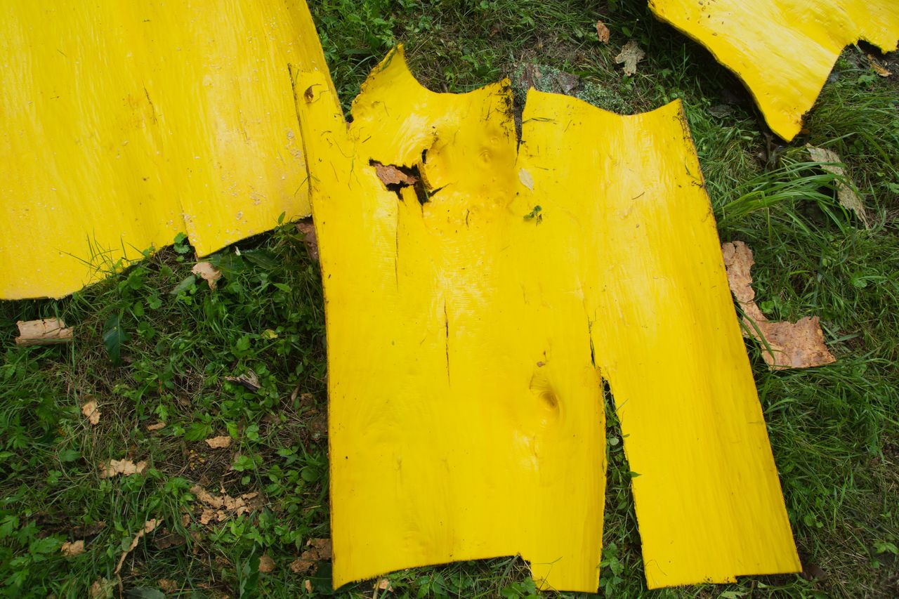 保科 政秀の画像１