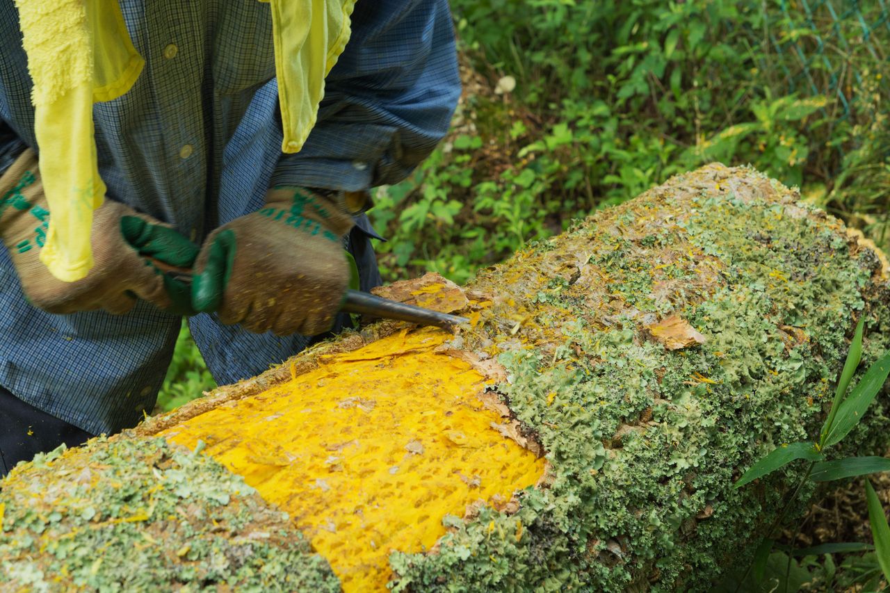 保科 政秀の画像２