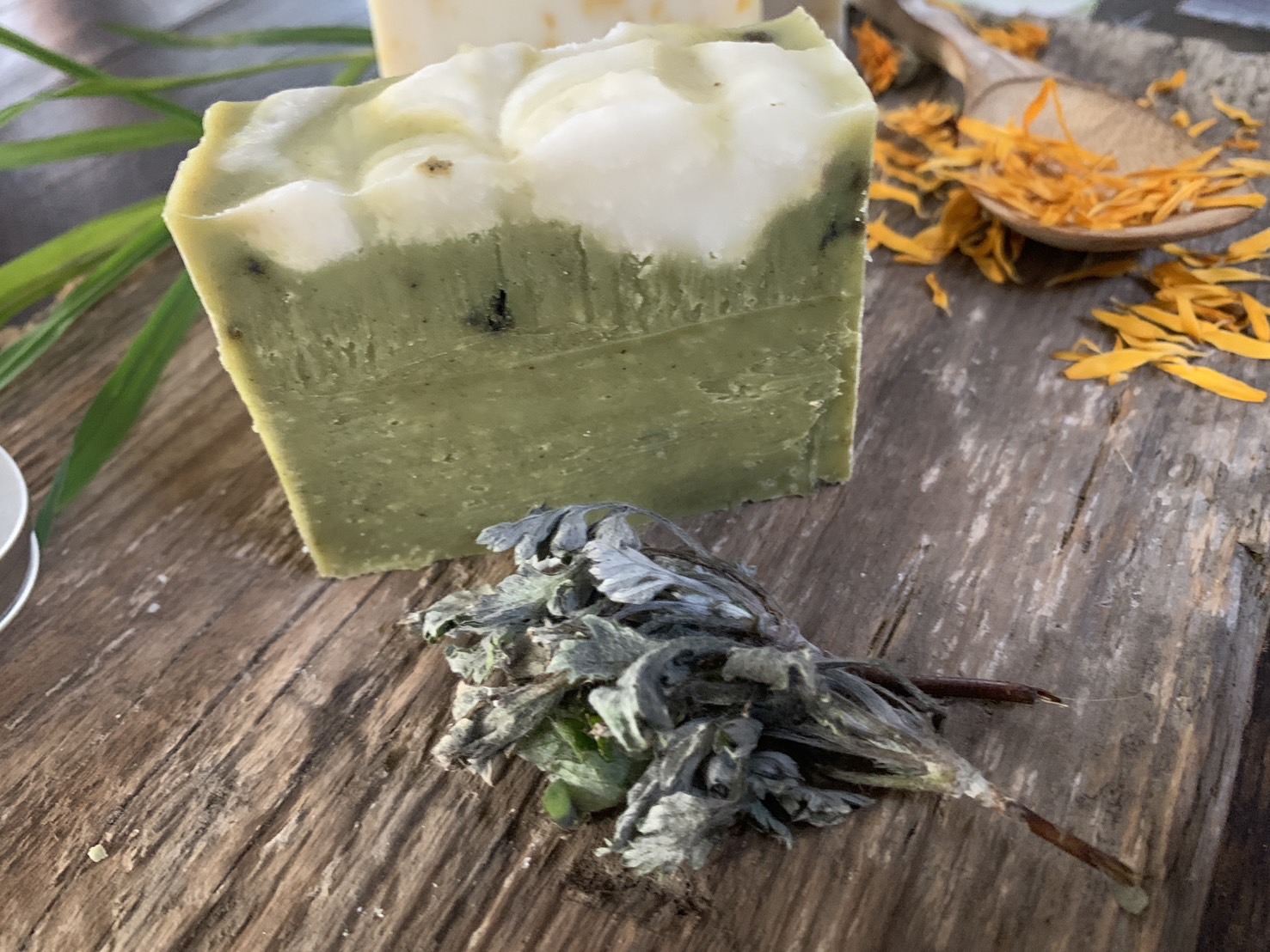 矢部 美紗の画像