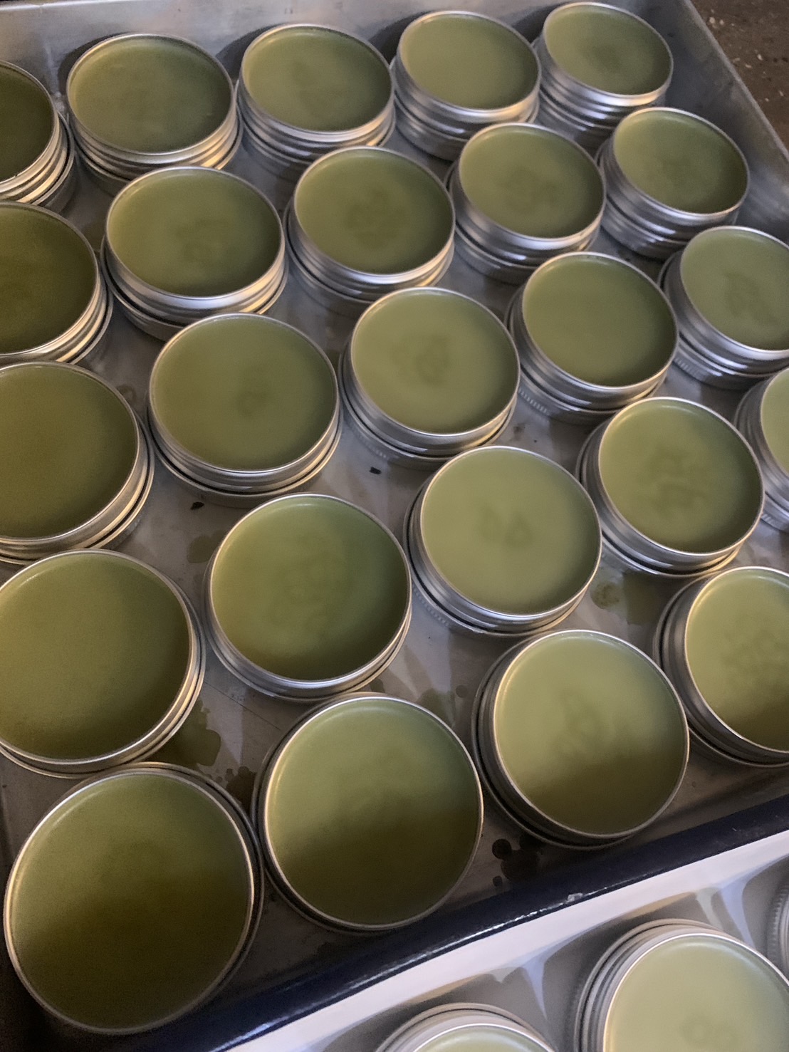 矢部 美紗の画像１