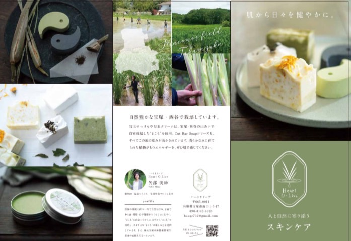 矢部 美紗の画像３