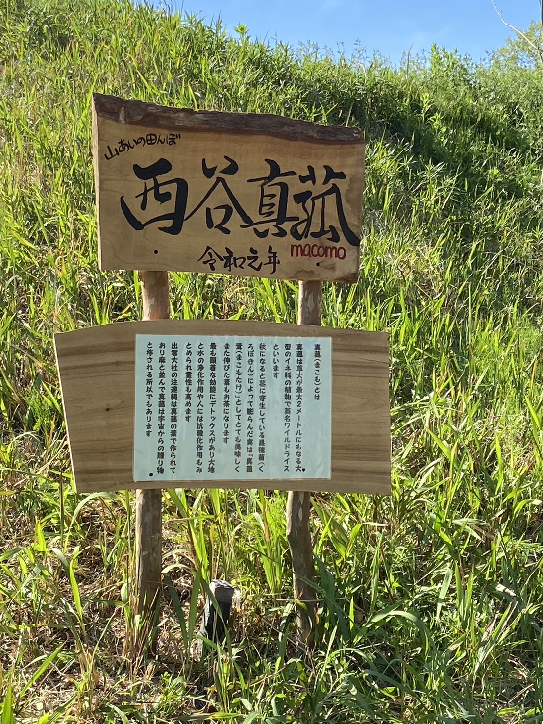 矢部 美紗の画像１