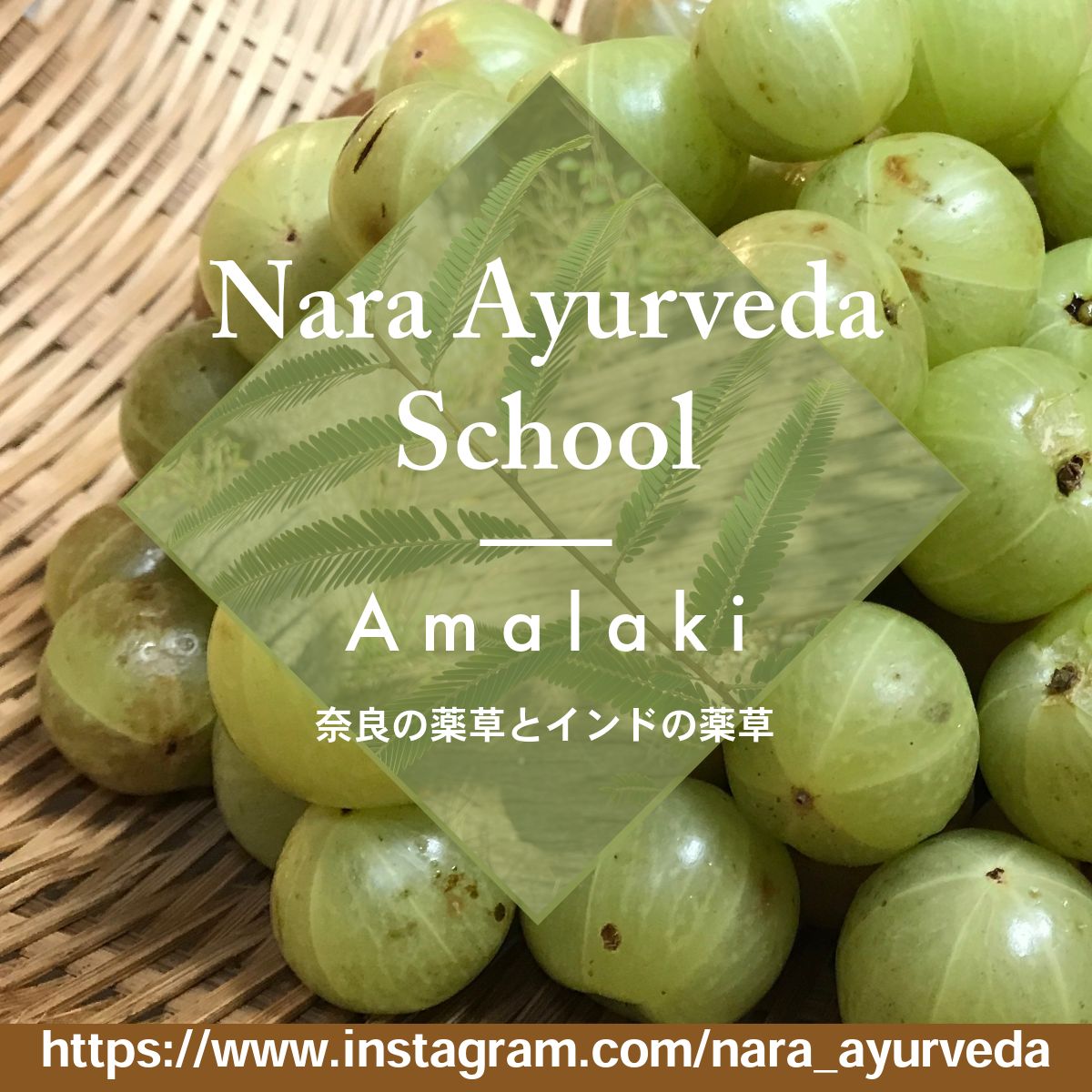 奈良アーユルヴェーダスクールの画像