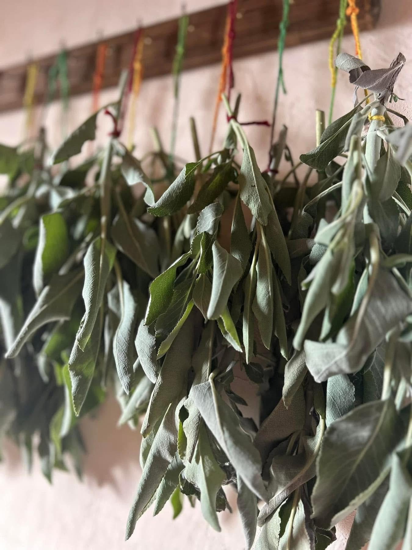 BALI MAGIC ハーブガーデンの画像２