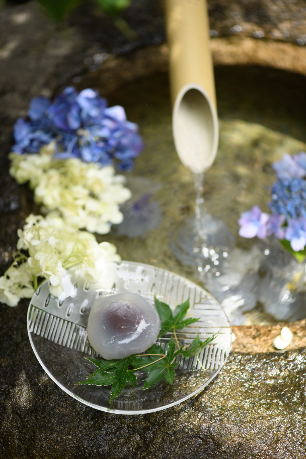 川本 あづみの画像３