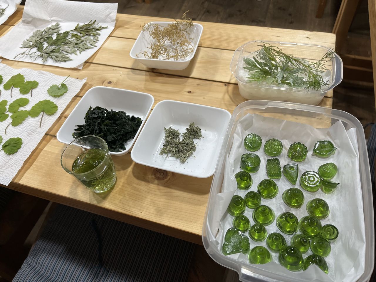 藤井 文子の画像１