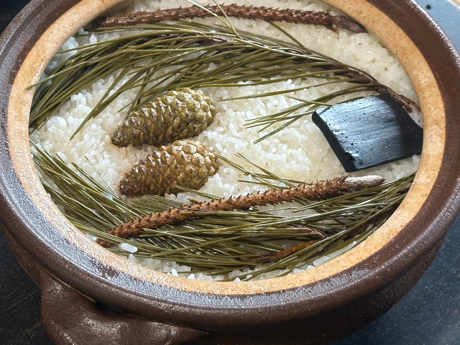 金井 美樹の画像１