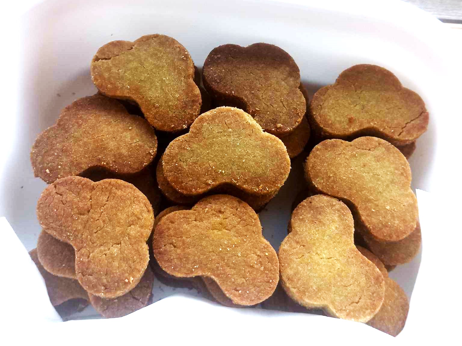 金井 美樹の画像４