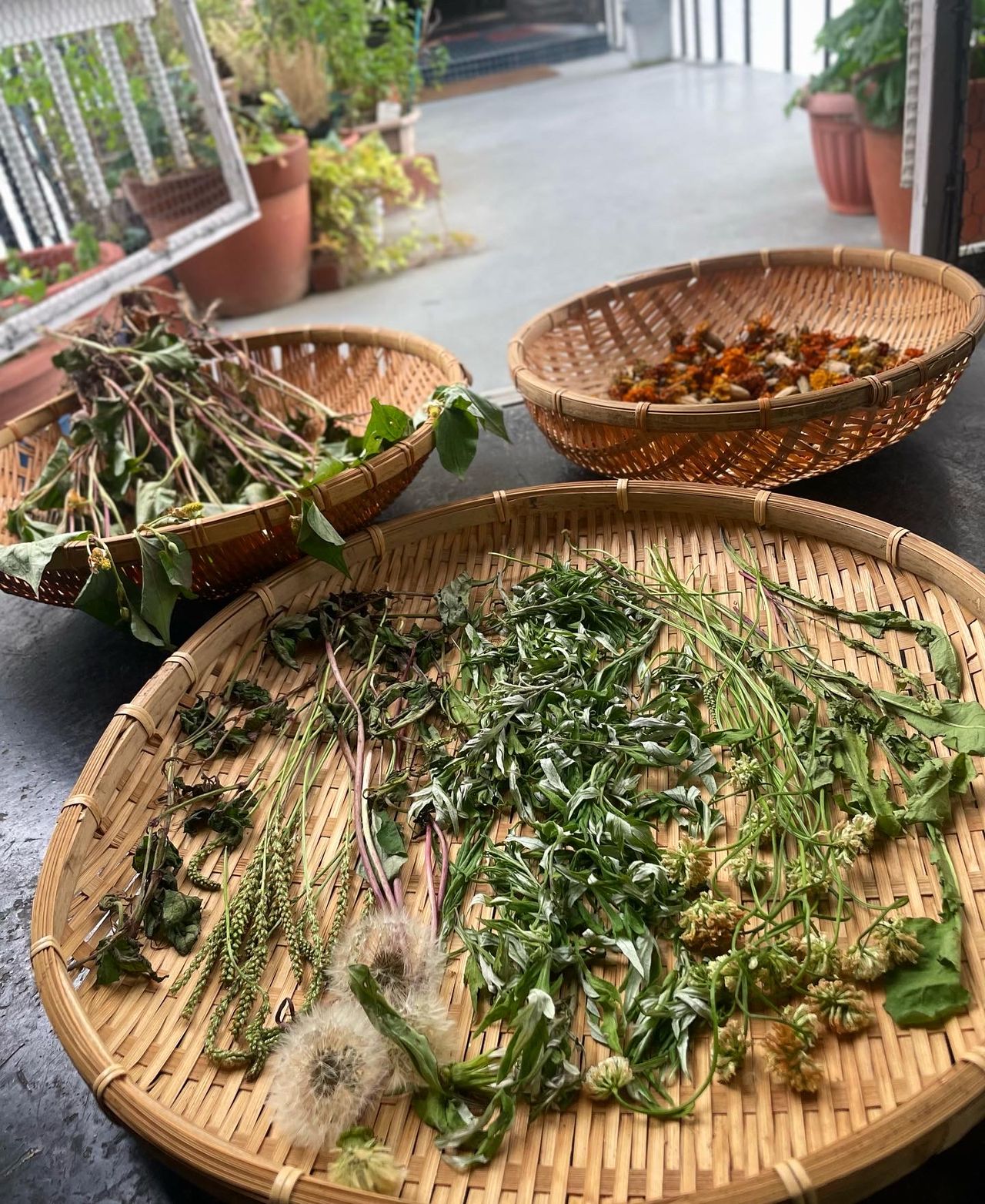 長谷 真由美の画像２