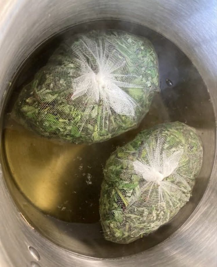 木村 美香の画像１