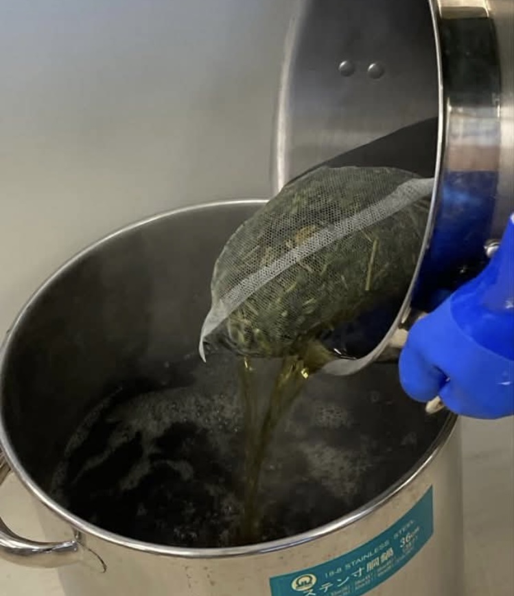 木村 美香の画像２