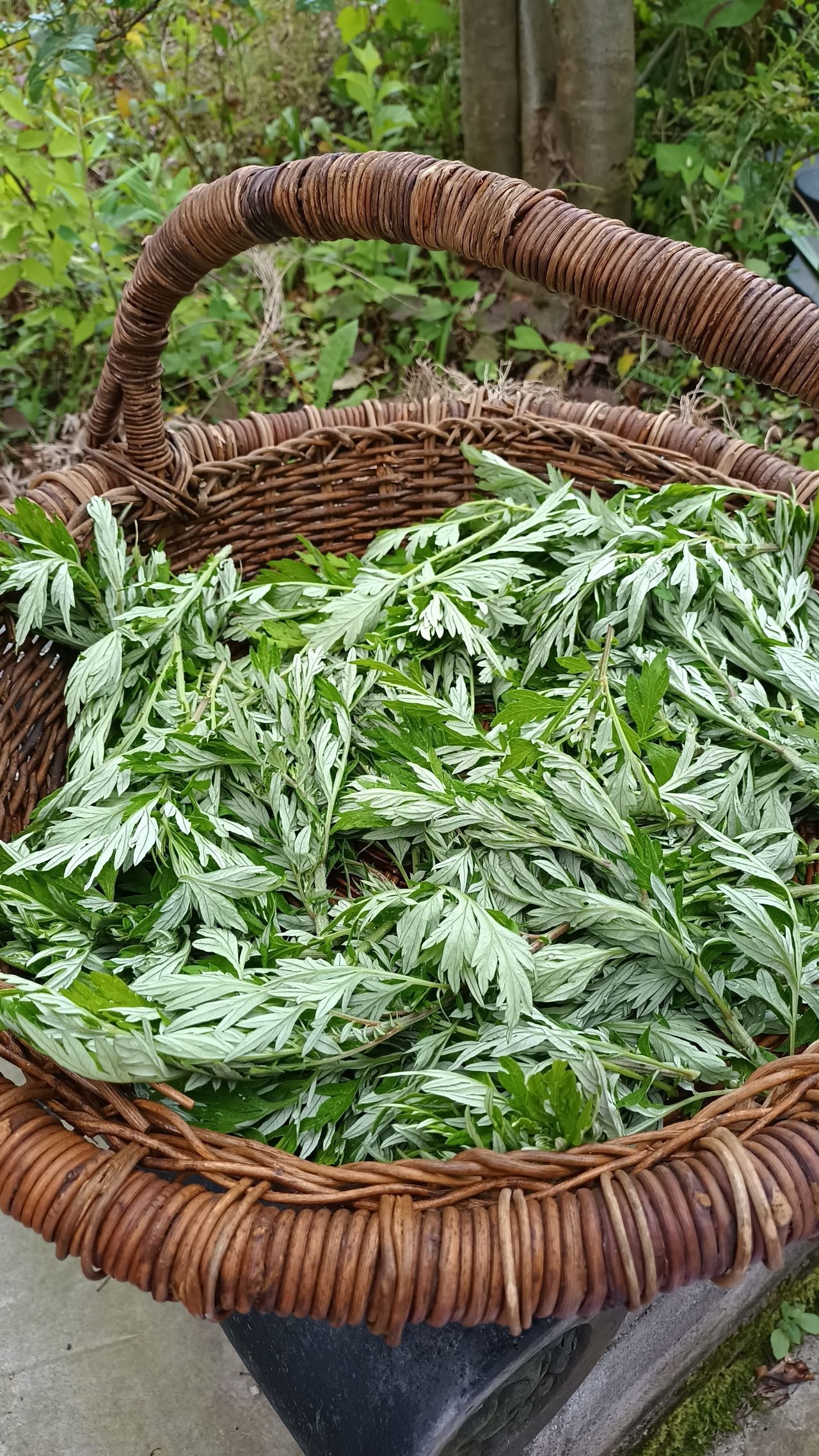 坂下 典子の画像４