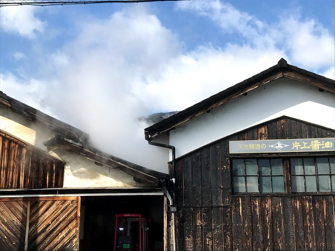 片上 公美の画像