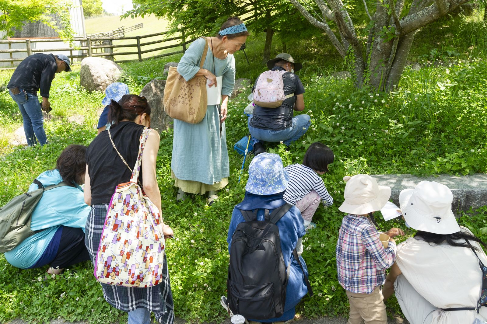 クレメンツ かおりの画像