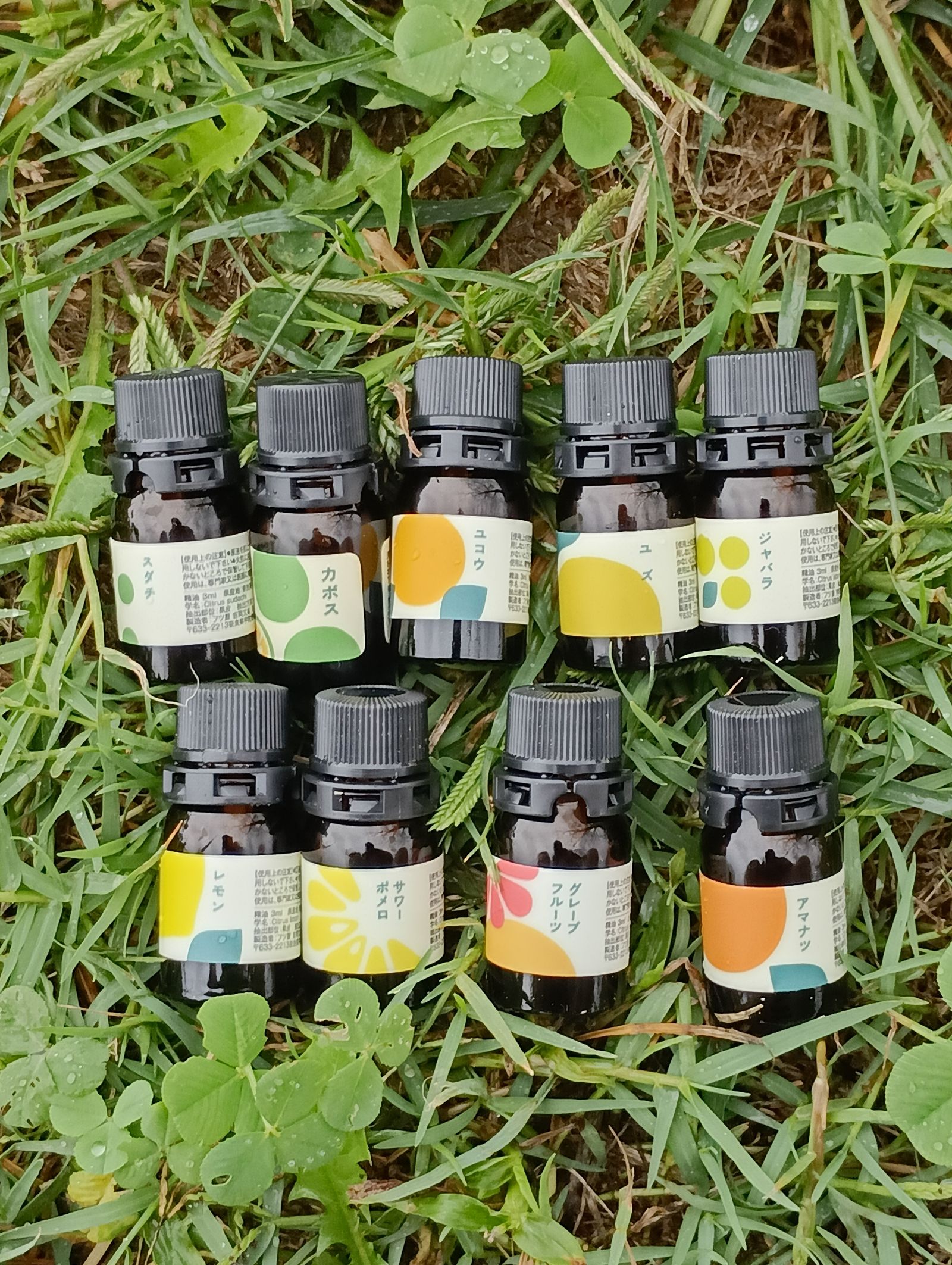 フツ屋の画像１