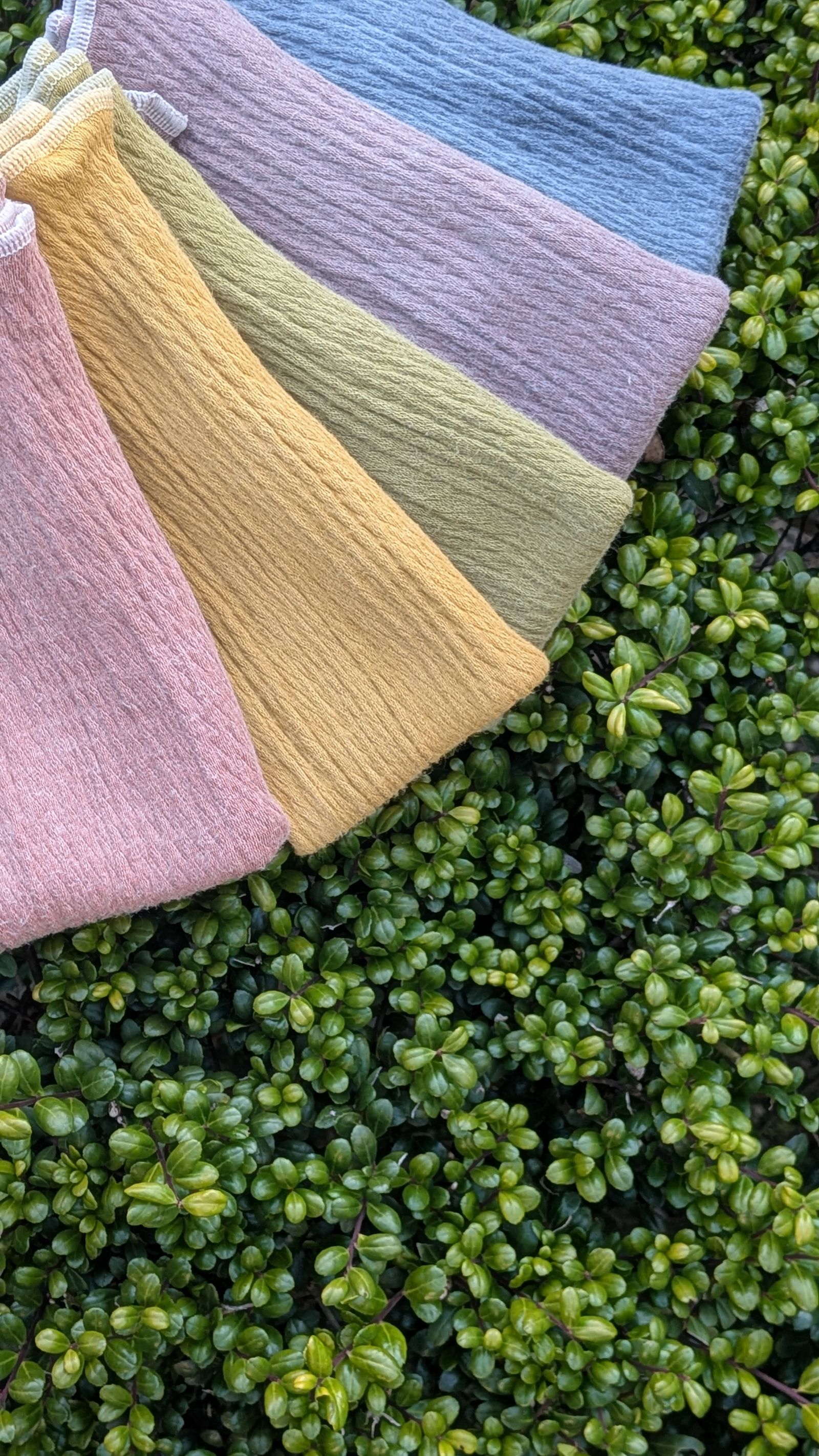 紡生・tsumugi・の画像２