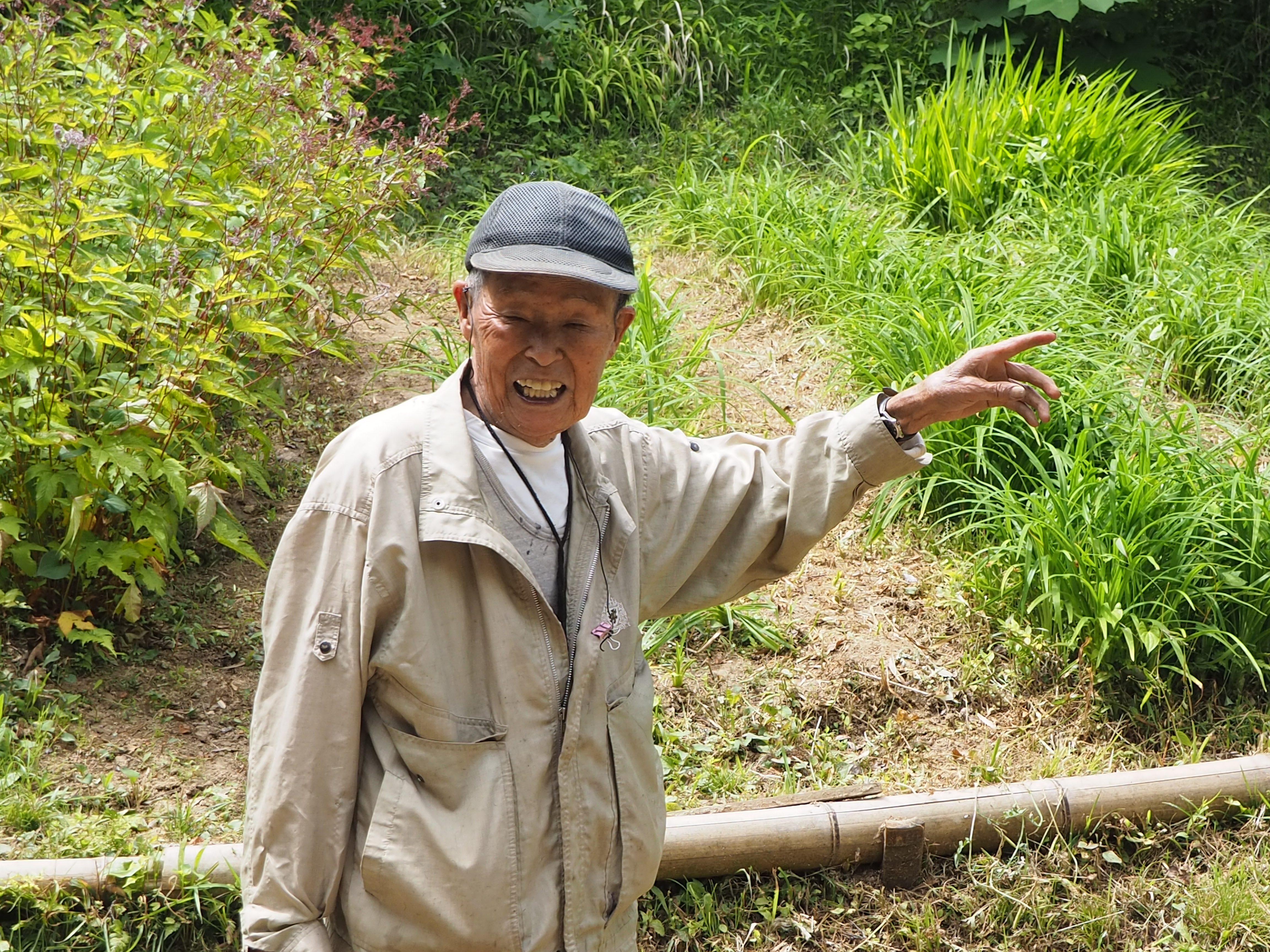森野旧薬園の薬草を手入れしている原野さん