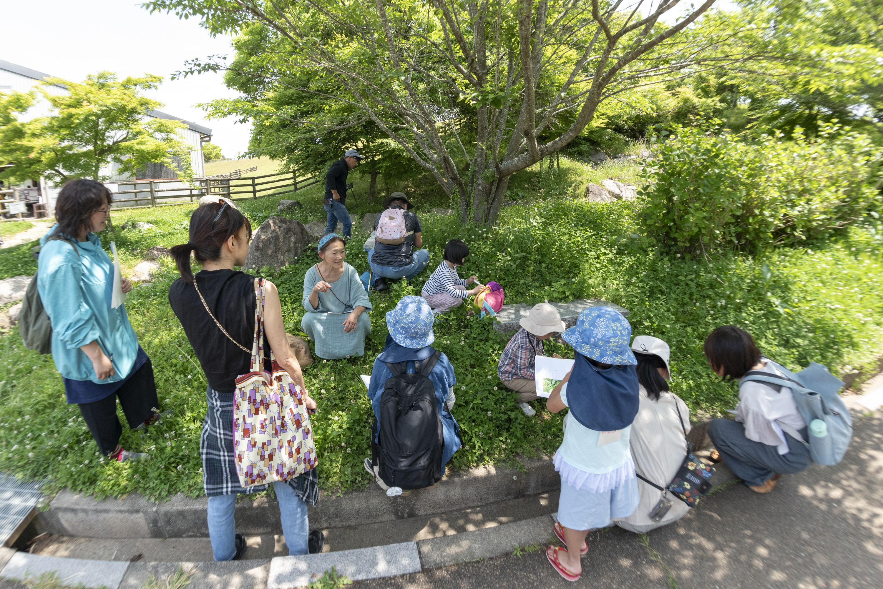 講座「親子で楽しむ薬草観察」クレメンツかおり先生